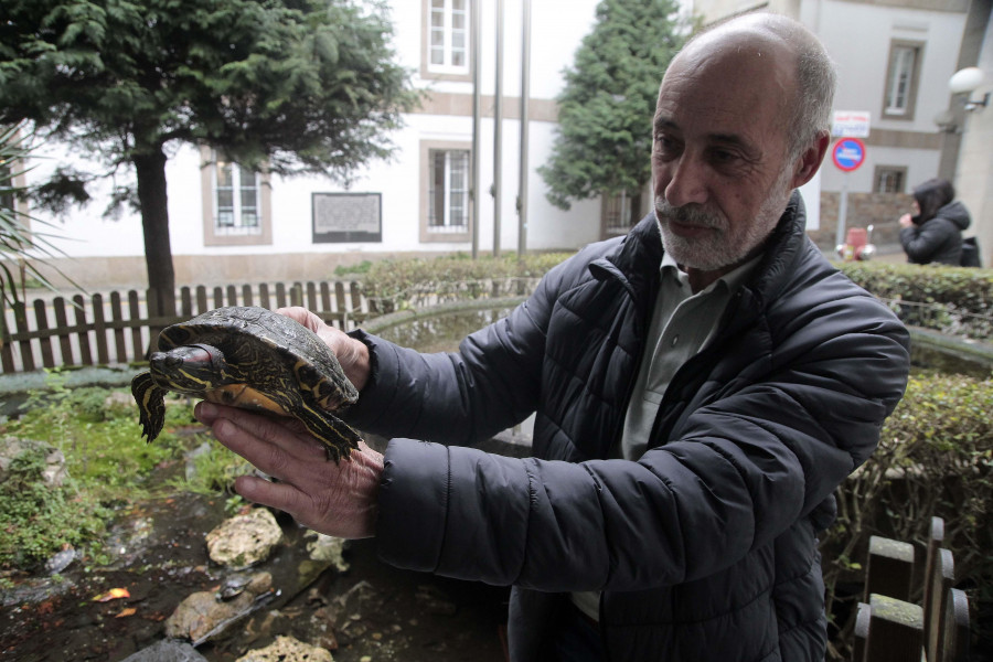 Coruña Insólita | Las tortugas del Abente y Lago, los animales más pacientes del hospital