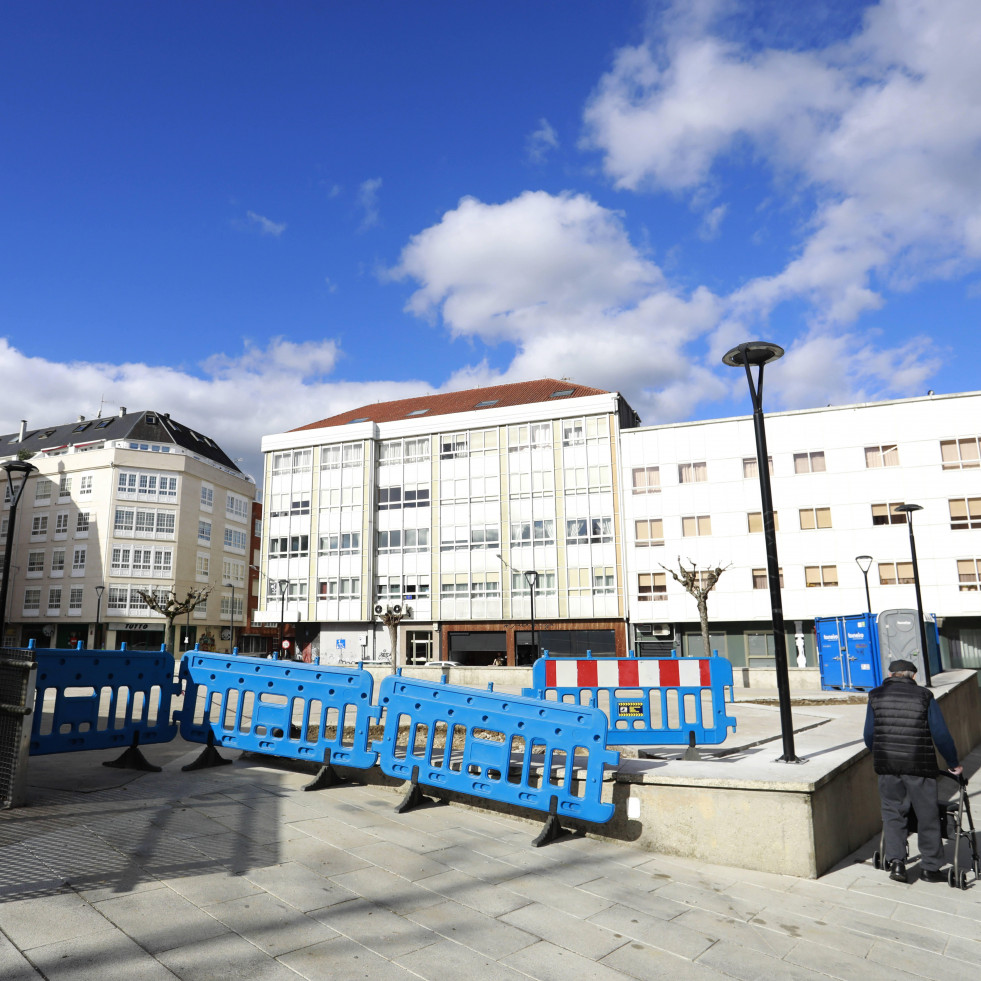 Betanzos interviene en la plaza Uxío Novoneyra tras detectar daños en sus árboles