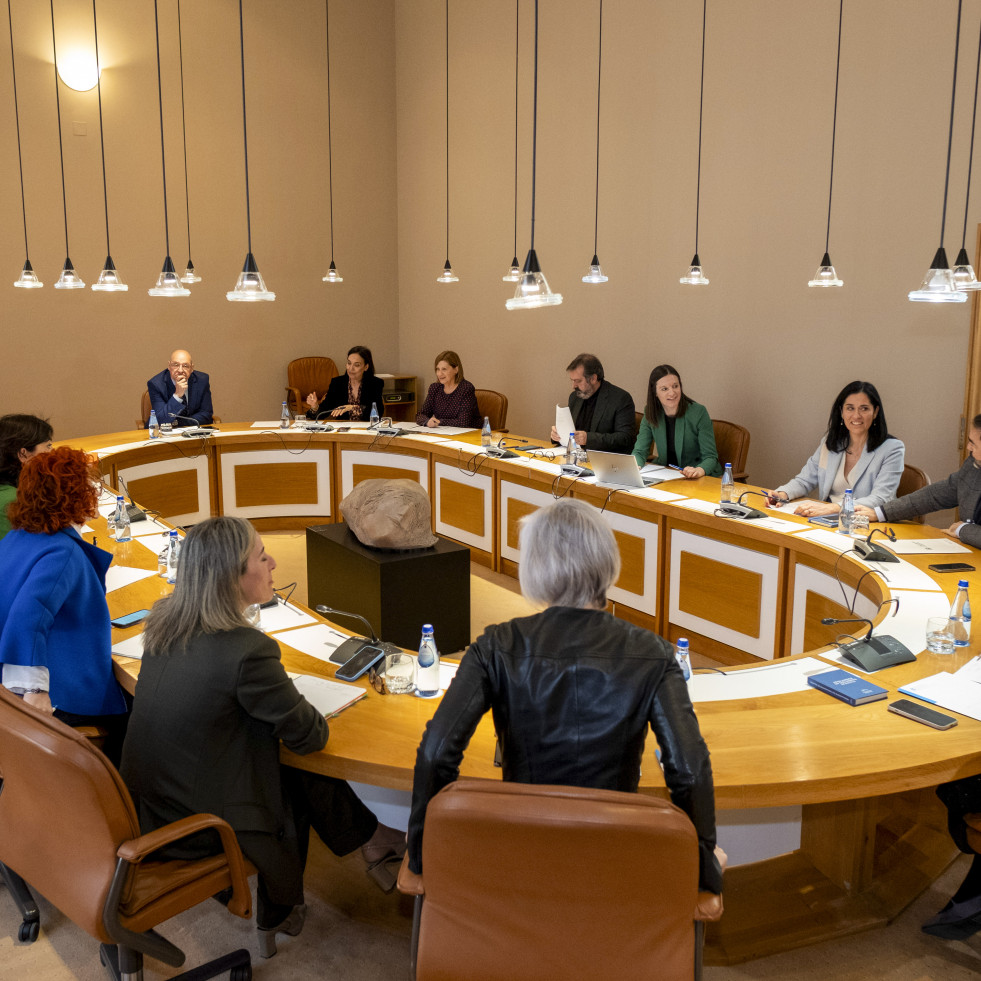 Afundación, Ramón Villares y la Academia de Belas Artes recibirán la Medalla del Parlamento de Galicia