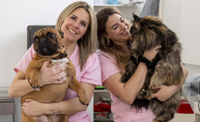 Los veterinarios coruñeses alertan de un “mercado negro” de medicamentos por la nueva ley