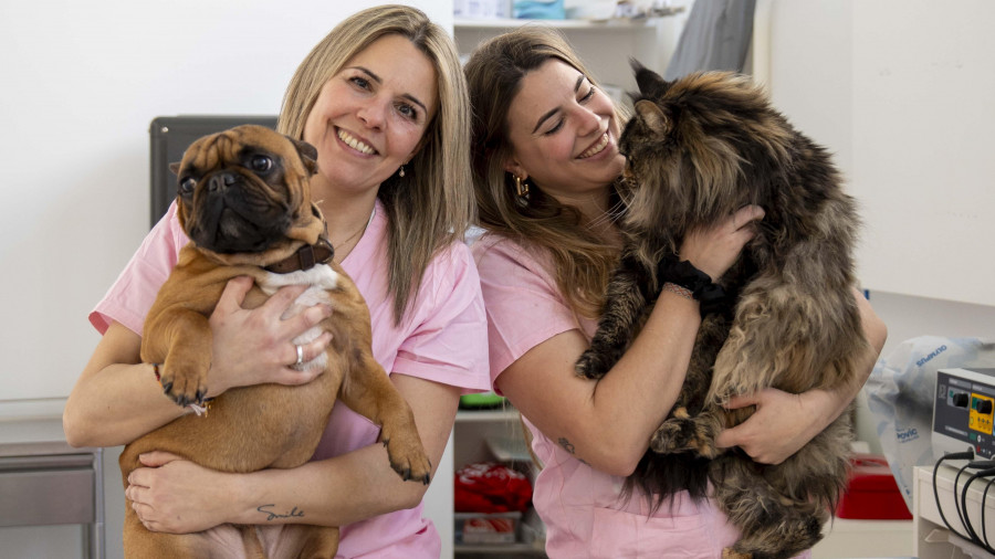 Los veterinarios coruñeses alertan de un “mercado negro” de medicamentos por la nueva ley