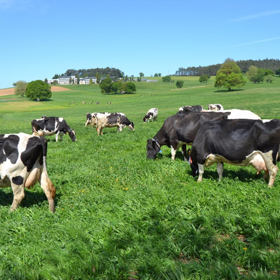 Novedades en la PAC 2025: apoyo a nuevos productores ecológicos y flexibilización en la rotación de cultivos