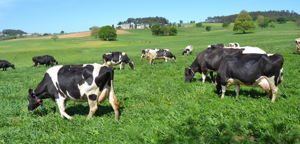 Novedades en la PAC 2025: apoyo a nuevos productores ecológicos y flexibilización en la rotación de cultivos