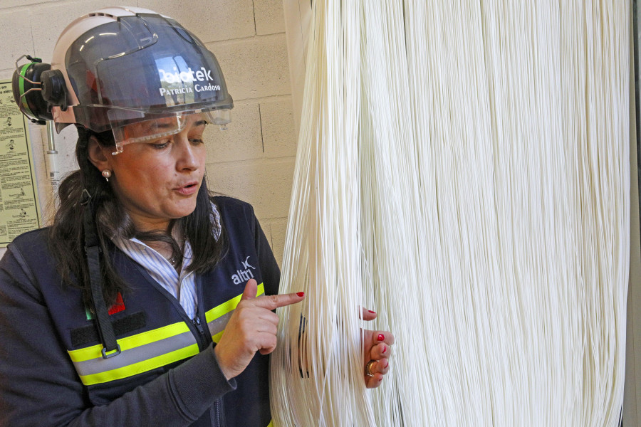 La Xunta otorga a Altri el permiso ambiental para instalar su fábrica en Palas de Rei