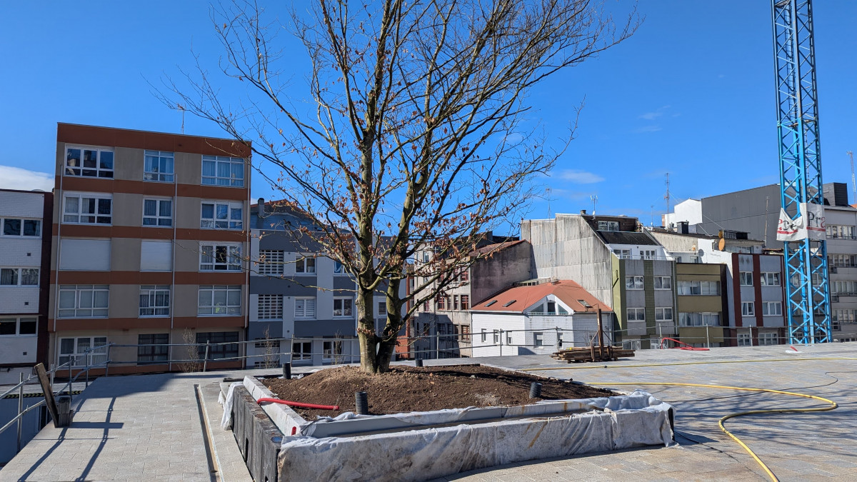 Obras en el mercado de Monte Alto (4)