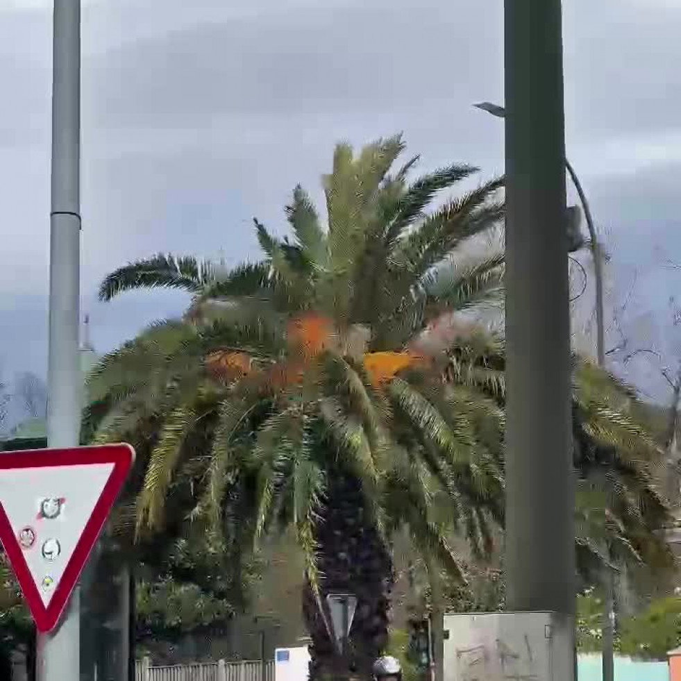 La borrasca Martinho se acerca a A Coruña y ya deja vientos de más de 80 kilómetros por hora