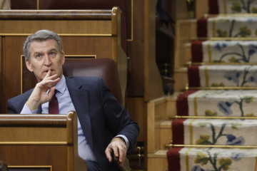 El líder del PP,Alberto Núñez Feijóo, durante la sesión de control al Ejecutivo que tiene lugar este miércoles en el Congreso.