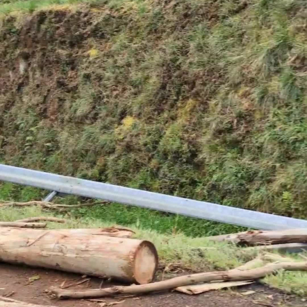 Un camión siembra de troncos la autovía en Arteixo